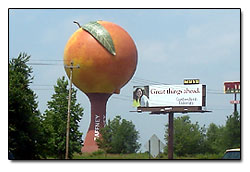 Georgia peach tower on I85