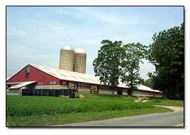 Southern Mass farm