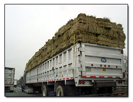 Interstate 81 hay truck